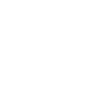 VMS Store Logo